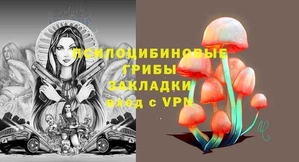 тгк Покровск