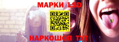 мяу мяу мука Кандалакша