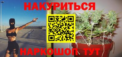 a pvp Камышлов