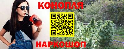мяу мяу мука Кандалакша