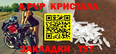 a pvp Камышлов