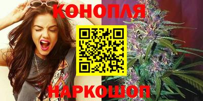 сатива Канаш
