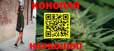 сатива Канаш