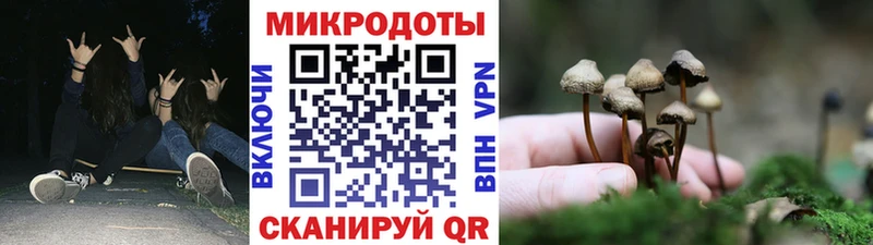 купить наркотик  мега онион  Псилоцибиновые грибы прущие грибы  Муравленко 